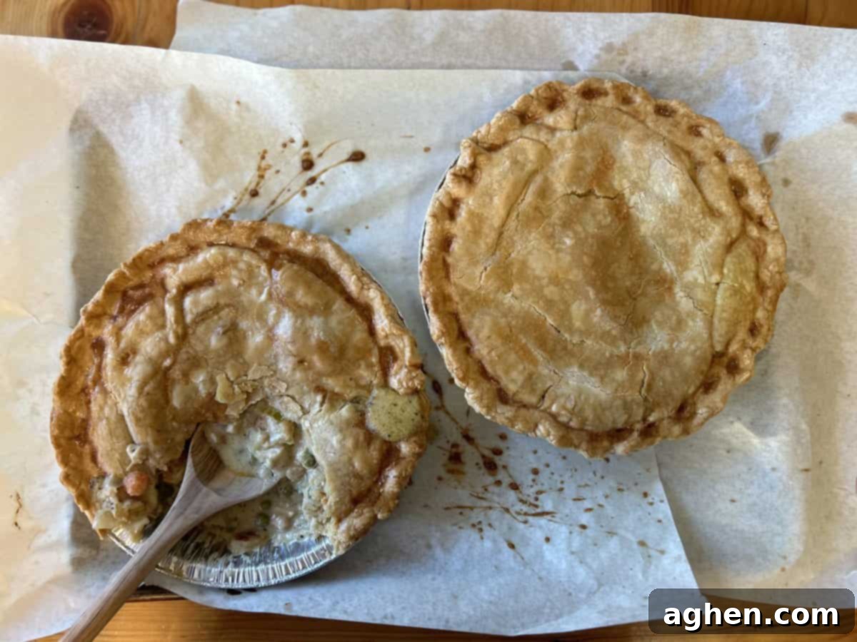 Two perfect baked chicken pot pies with golden brown crusts, fresh from the oven, ready to serve.