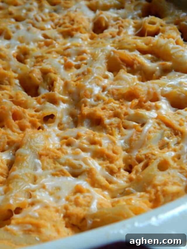 14 Weight Watchers Pasta Recipes You Must Try This Fall 11 buffalo chicken pasta bake