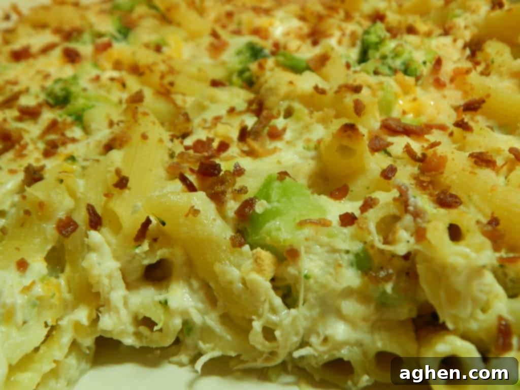 14 Weight Watchers Pasta Recipes You Must Try This Fall 13 Chicken alfredo pasta bake