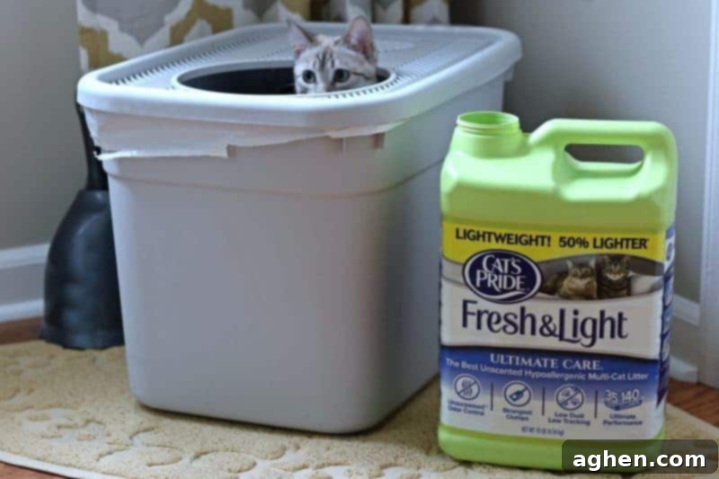 Khaleesi, a domestic cat, comfortably using a litter box filled with Cat's Pride litter, showcasing its practical application.