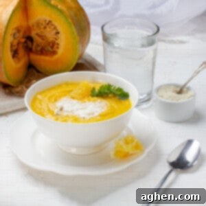 Zesty 1 Point Pumpkin Orange Soup 5 Sweet and creamy Pumpkin and Orange Soup.