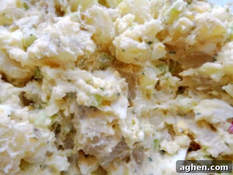 Creamy old fashioned potato salad with mayonnaise and herbs