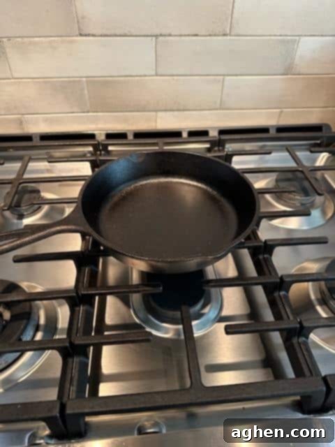 12 inch lodge cast iron skillet on burner