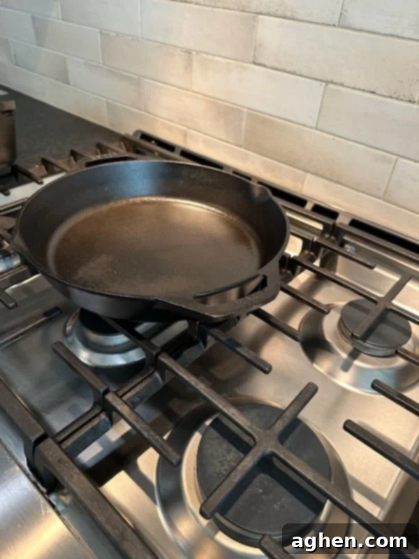 lodge cast iron skillet on gas stove