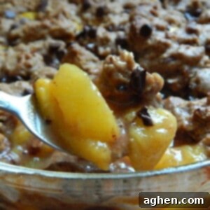 Peach Chocolate Oat Cookie Delight 2 Close-up of a serving of chocolate peach crumble with a crispy topping, ready to be enjoyed.