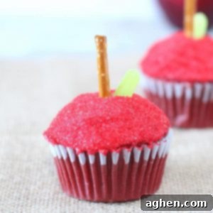 Sweet Apple Cupcakes for Back to School 6 Easy Apple Cupcakes for Back to School