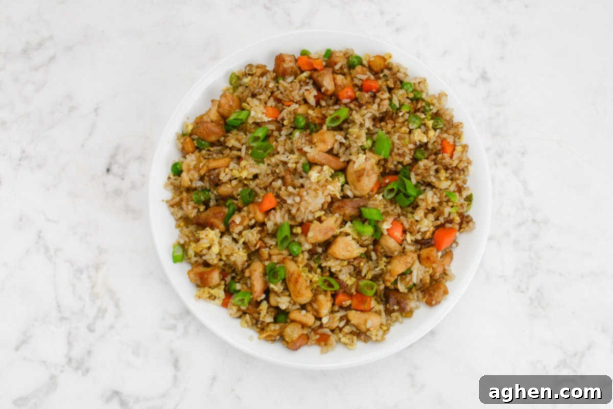 Ultimate Blackstone Chicken Fried Rice 13 garnished and plated blackstone chicken fried rice