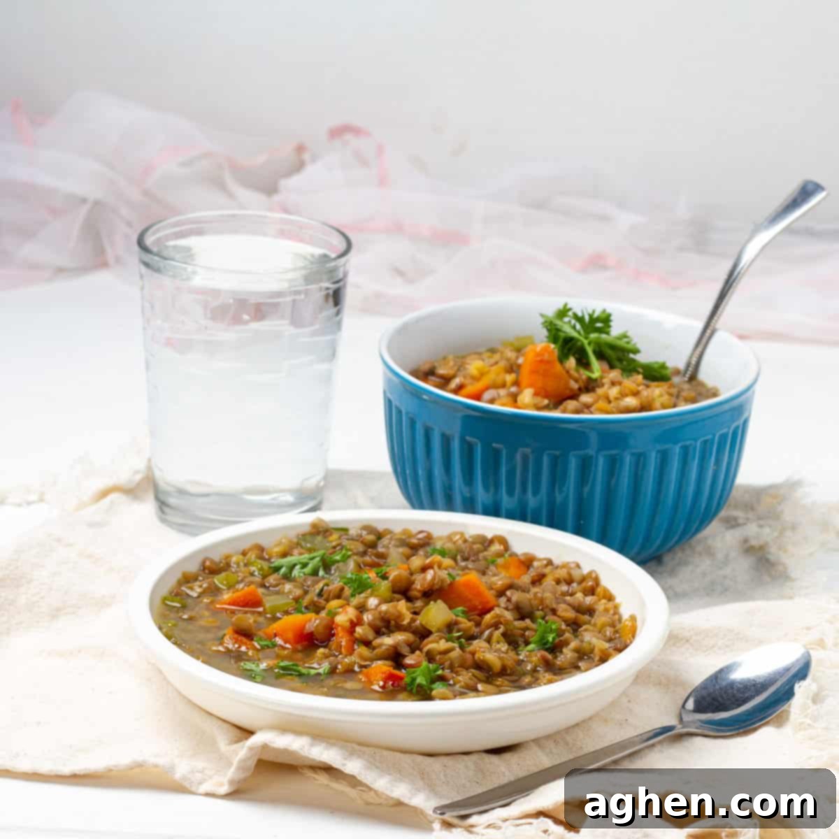 Your New Favorite Weight Watchers Lentil Soup 2 Lentil Soup served in bowl and plate
