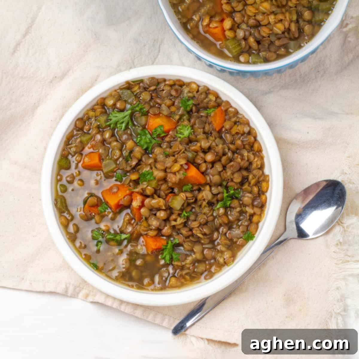 Your New Favorite Weight Watchers Lentil Soup 6 Lentil Soup served in plate