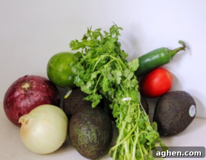 Ingredients laid out for homemade guacamole: fresh avocados, tomatoes, red onion, white onion, jalapeno, lime, cilantro, salt, sour cream, and refried beans.
