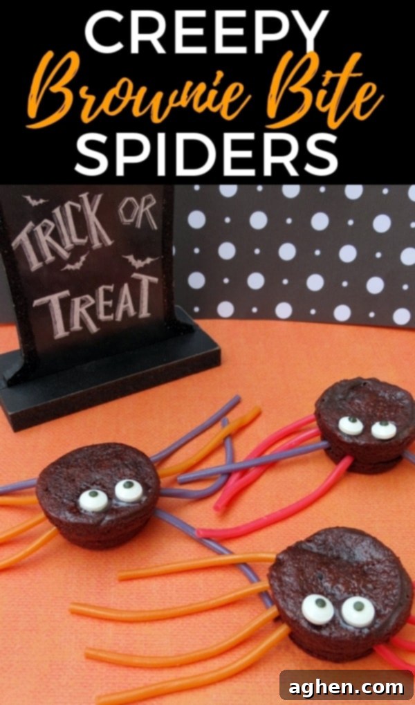 Creepy Brownie Bite Spider Pin.