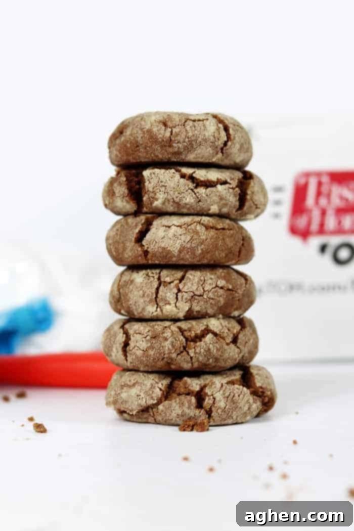 Delicious Mexican Crinkle Cookies with a Kick, featuring the unique flavor of Gustus Vitae Spicy Chocolate Cinnamon Cane Sugar, are a perfect sweet and savory treat.