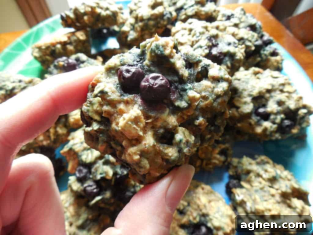 Blueberry Oatmeal Breakfast Cookies