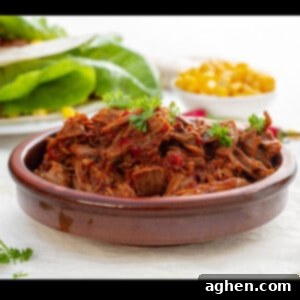 Easy Instant Pot Birria 11 Instant Pot Birria served in bowl