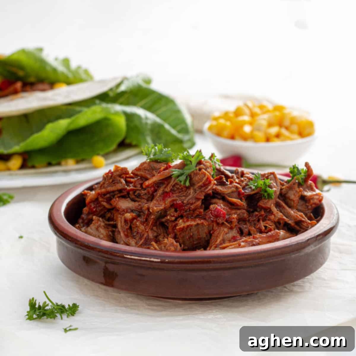 Easy Instant Pot Birria 10 Instant Pot Birria