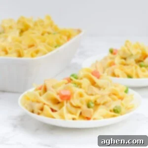 Heartwarming Chicken Noodle Bake 10 Two white plates of chicken noodle casserole