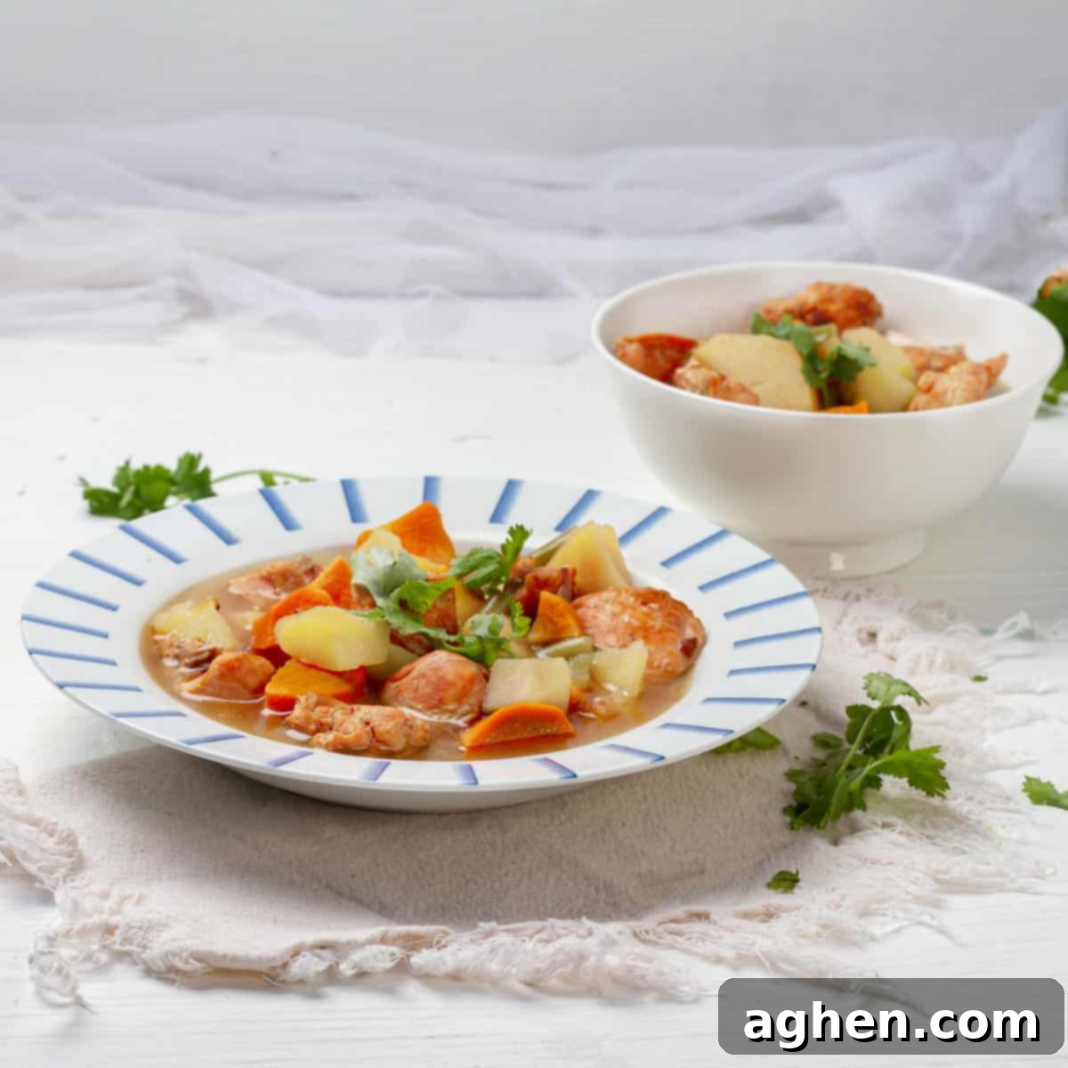Cozy Instant Pot Chicken Soup: Easy Comfort Food Made Fast 2 Instant Pot Chicken Soup platted