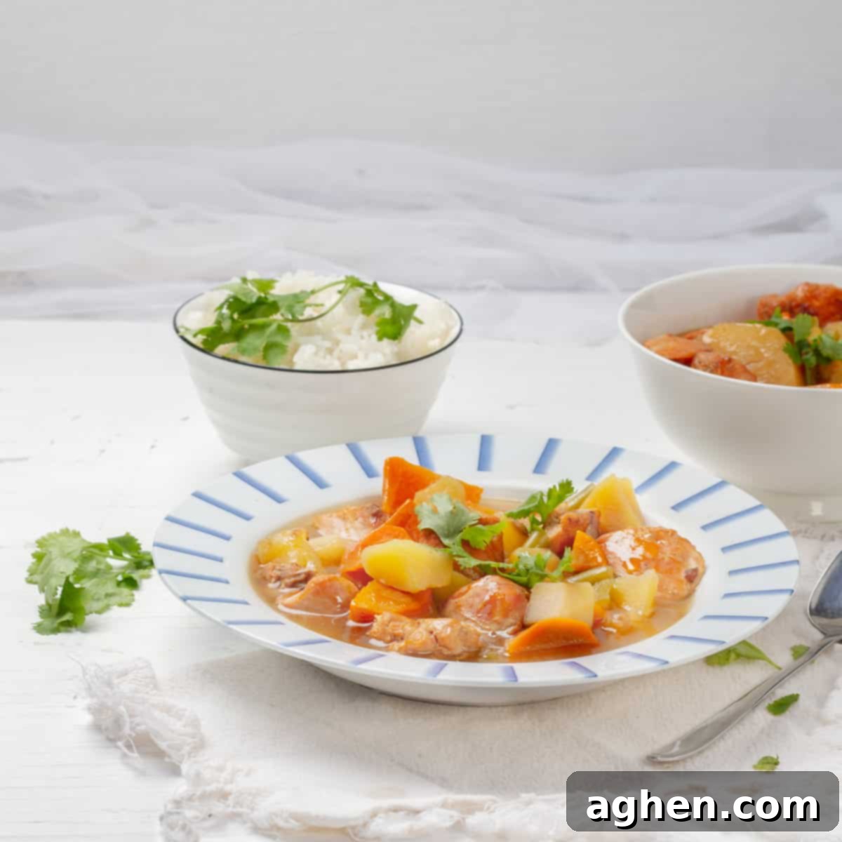 Cozy Instant Pot Chicken Soup: Easy Comfort Food Made Fast 7 Instant Pot Chicken Soup platted