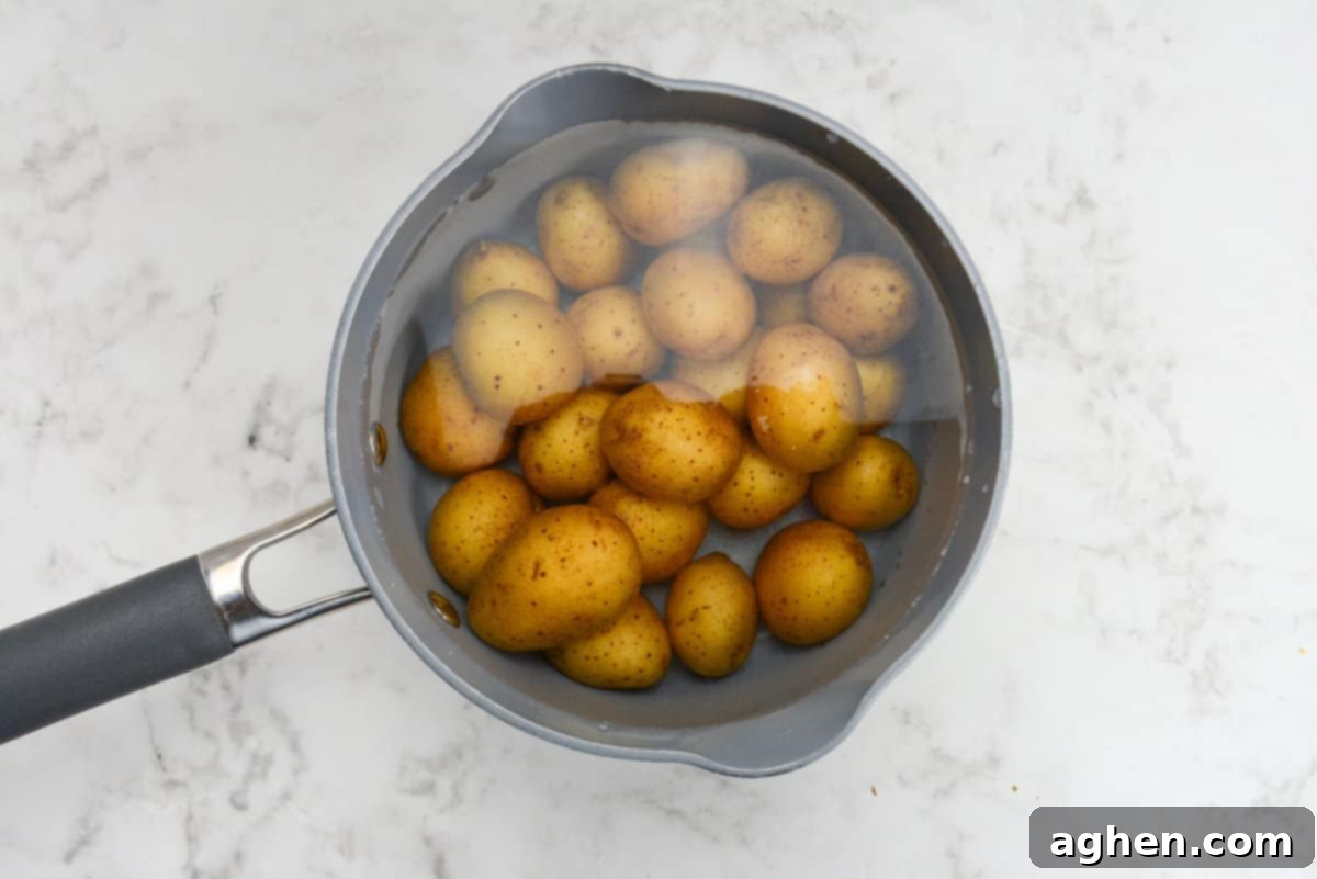 Crispy Blackstone Smashed Potatoes 4 baby potatoes in a pot with water and salt.