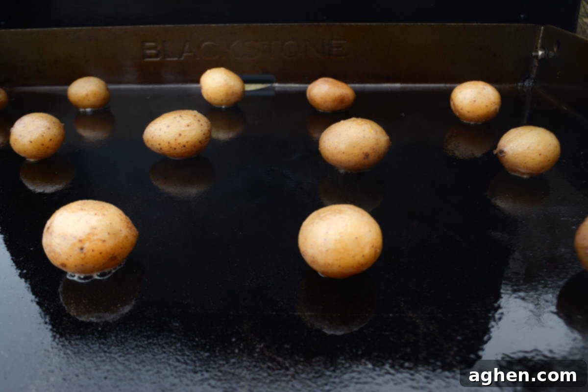 Crispy Blackstone Smashed Potatoes 8 baby potatoes set on a hot blackstone griddle