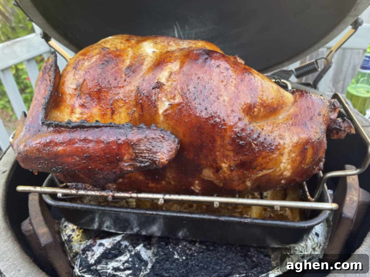 turkey baking
