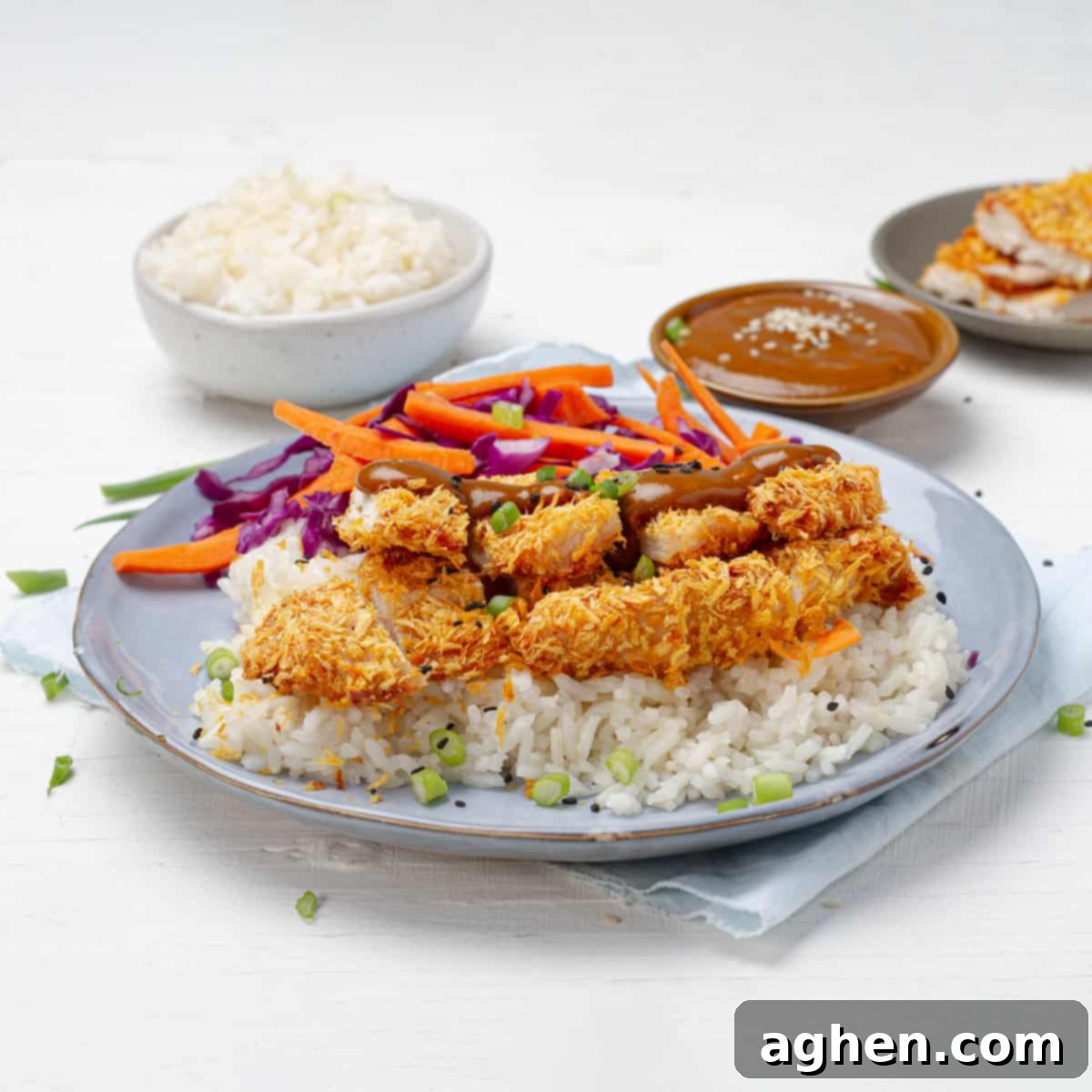 Weight Watchers Air Fryer Katsu The Crispy Healthy Game Changer 8 Chicken Katsu platted with a bowl of rice
