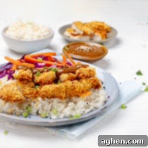 Weight Watchers Air Fryer Katsu The Crispy Healthy Game Changer 9 Chicken Katsu platted with a bowl of rice