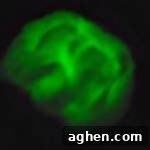 If you are looking for an easy slime recipe for the kids, you will love this DIY crunchy glow in the dark slime.