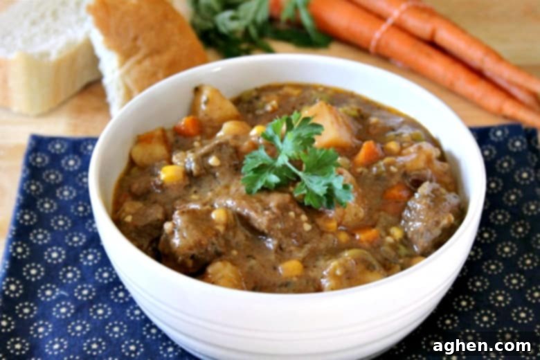 This Instant Pot beef stew recipe comes together in just one hour and is full of rich and hearty flavor. Talk about the ultimate comfort food!