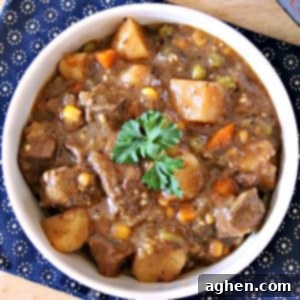 A bowl of freshly made Instant Pot Beef Stew with a rich, savory broth and tender vegetables.