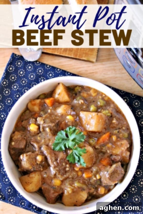 A stunning overhead shot of a finished Instant Pot beef stew in a hearty bowl, with crusty bread on the side, perfect for Pinterest sharing.