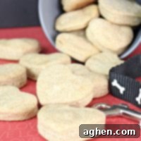 Make your own dog treats in 30 minutes with this easy homemade dog treat recipe. Made with just 6 ingredients, you likely have everything you need at home already.