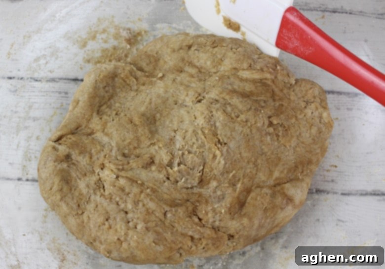 Homemade Dog Treat Dough