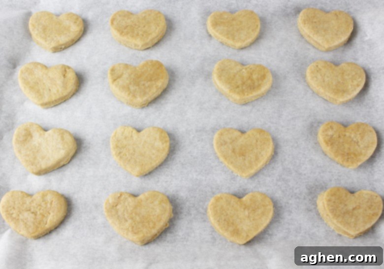 Homemade Dog Treats on lined baking sheet and ready to go in the oven