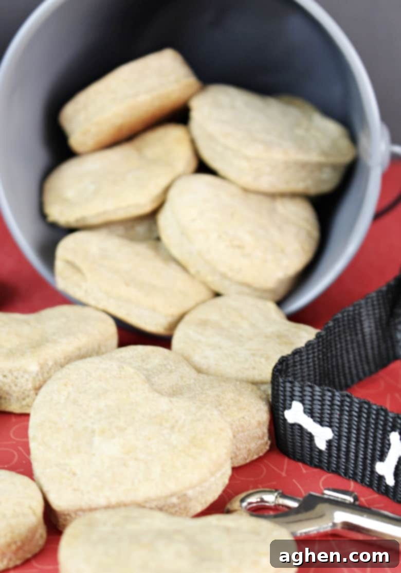 Make your own dog treats in 30 minutes with this easy homemade dog treat recipe. Made with just 6 ingredients, you likely have everything you need at home already.