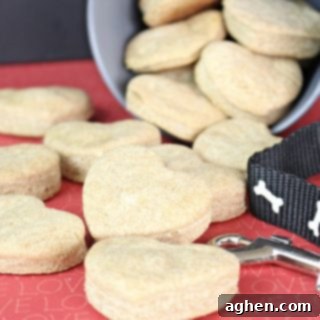 Make your own dog treats in 30 minutes with this easy homemade dog treat recipe. Made with just 6 ingredients, you likely have everything you need at home already.