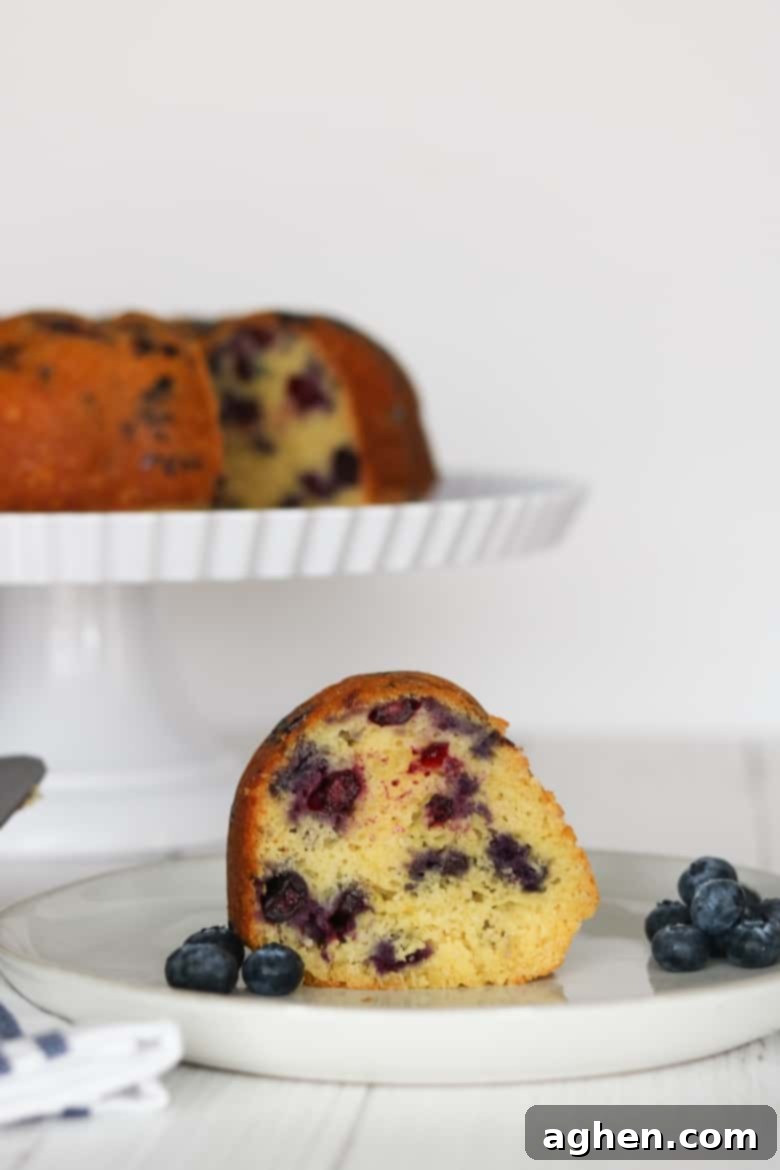 Blueberry Lemon Pound Cake Recipe