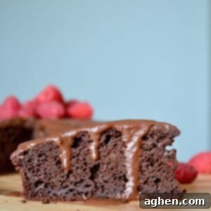 Indulge Guilt-Free Weight Watchers Low Point Mud Cake 6 Slice of chocolate cake with glaze