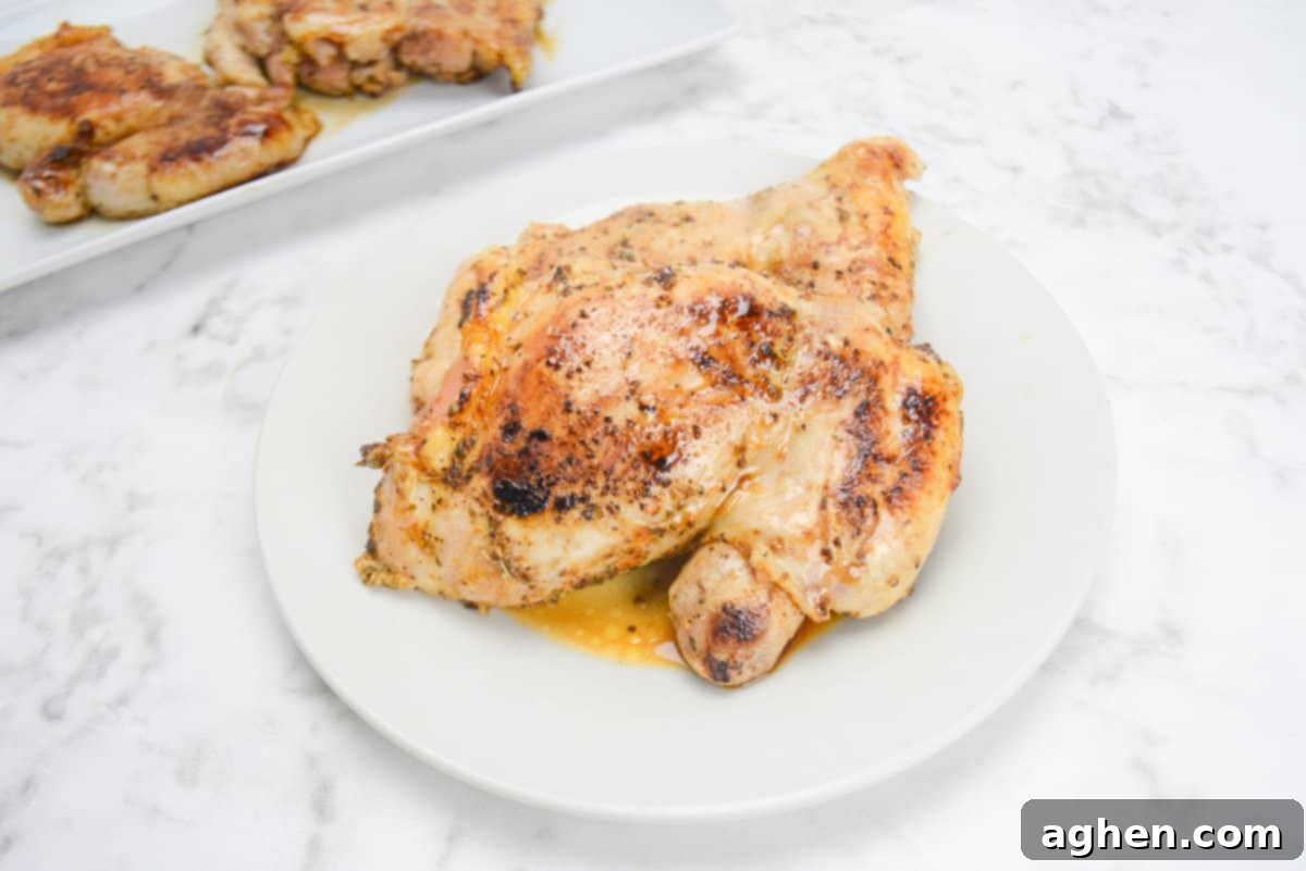 A white plate with two chicken thighs for serving. A small amount of juice pools in the bottom of the plate. A serving platter with two additional thighs sits to the side.