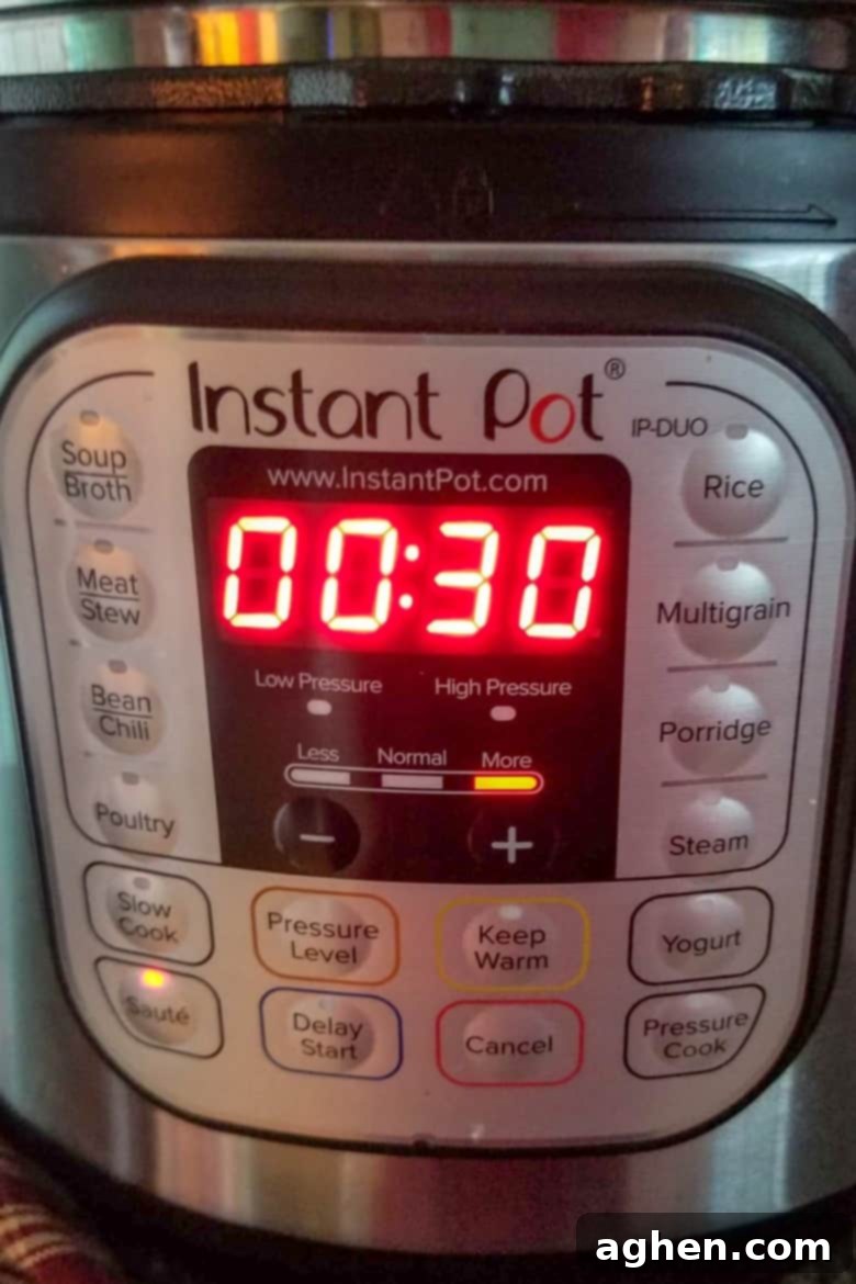 Instant Pot set to Saute
