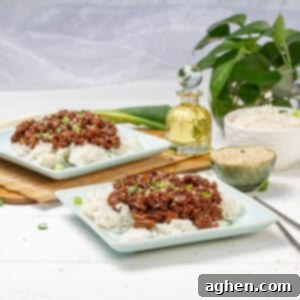 Weight Watchers Domuz Bulgogisi Dolu Dolu Lezzet 8 Pork Bulgogi beautifully plated