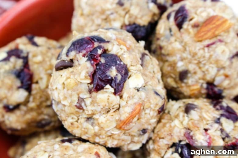Close-up image of a single trail mix energy ball, showcasing its texture and ingredients.