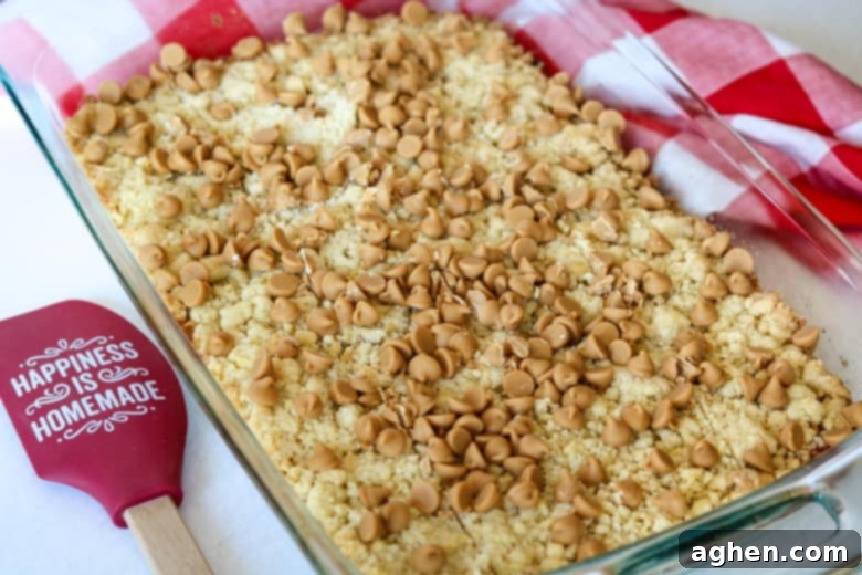 Nostalgic Peanut Butter & Jelly Squares 3 A 9x13 inch glass baking pan filled to the brim with freshly baked Peanut Butter and Jelly Bars, glistening with melted peanut butter chips and a golden-brown crust, sitting on a cooling rack, ready to be sliced into individual treats.