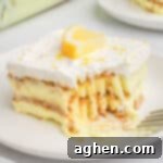 Layered lemon pudding, graham cracker, and cool whip dessert topped with a fresh lemon slice.