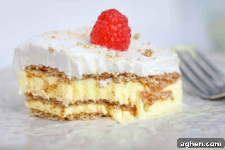 Lemon Pudding Cake with layers of graham crackers, lemon pudding, and Cool Whip. Topped with a raspberry.