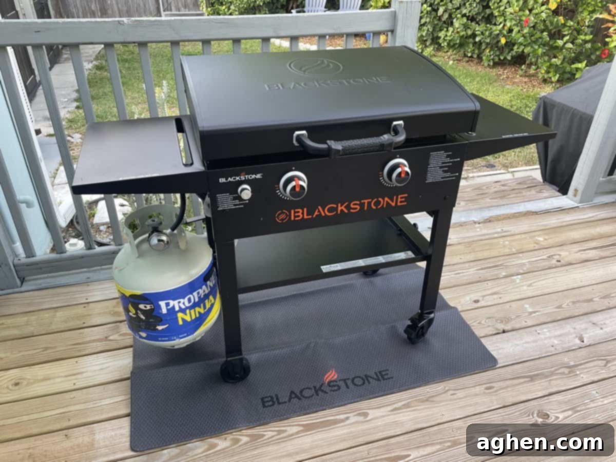 Why My Big Green Egg Is Collecting Dust The Blackstone Griddle Took Over 2 blackstone griddle on patio on mat