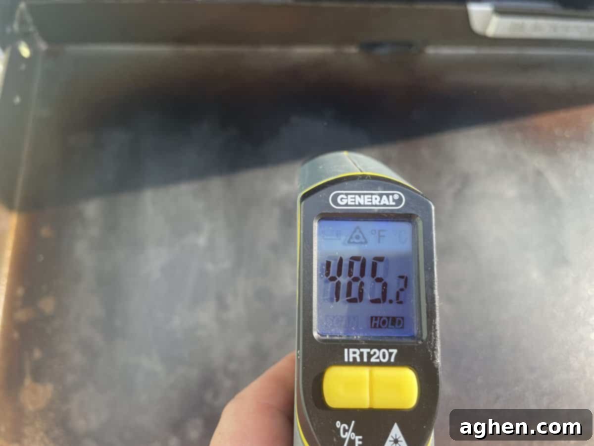 Why My Big Green Egg Is Collecting Dust The Blackstone Griddle Took Over 4 blackstone griddle temperature