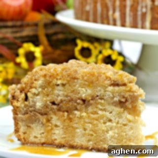 Salted Caramel Apple Crumb Cake Recipe