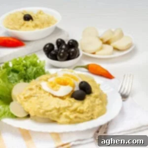 Rich and creamy Aji de Gallina from Peru.