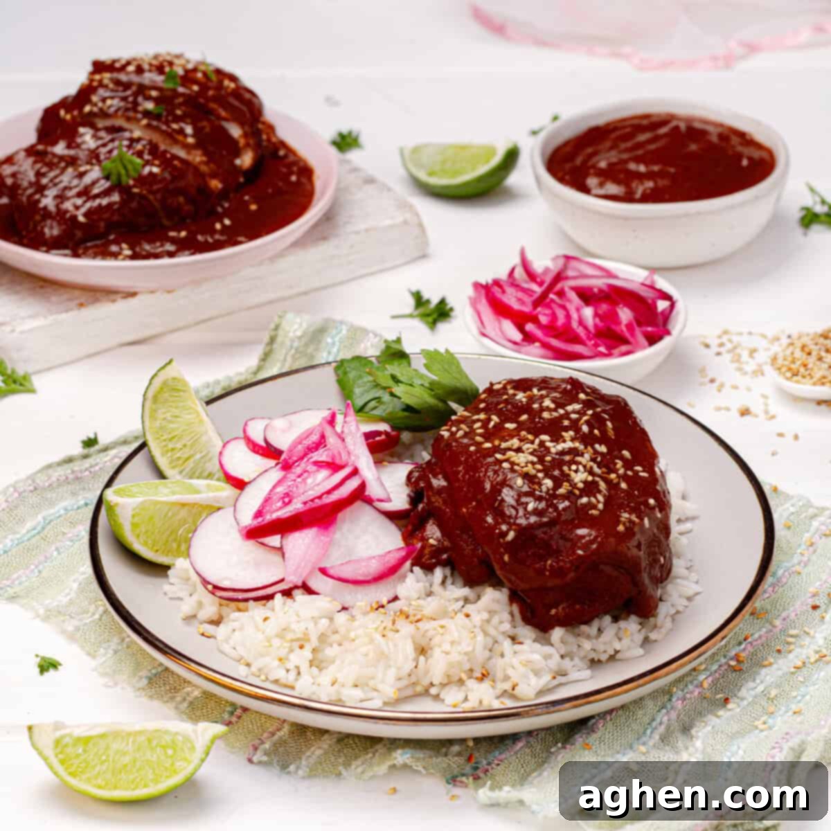 Weight Watchers-friendly Chicken mole served with rice, fresh radish, and lime wedges on a plate, garnished with sesame seeds.